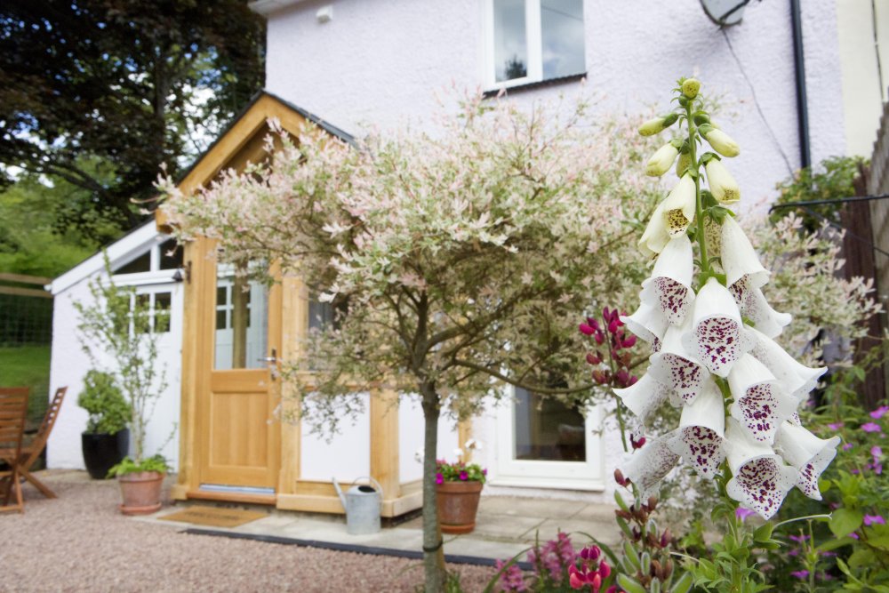 Rosebank Cottage