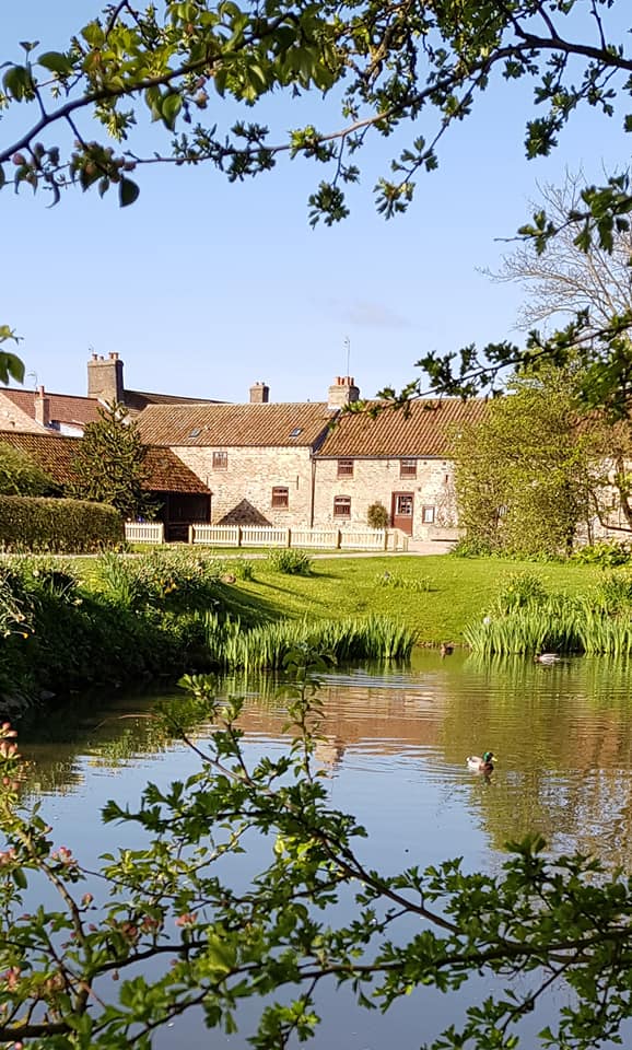 North Kingsfield Holiday Cottages