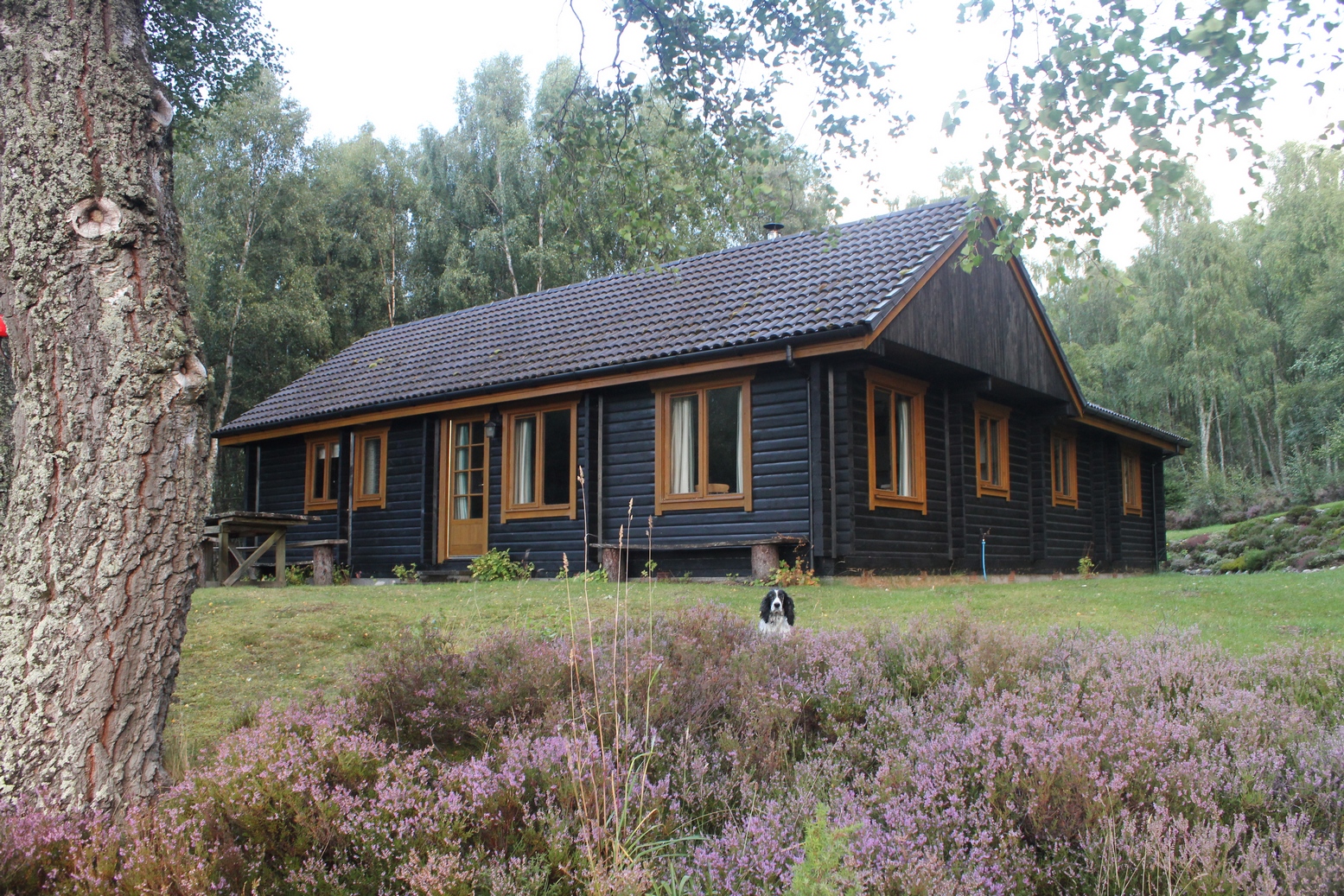 Balbeag Cottage