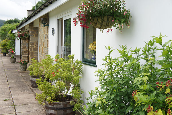 The Paddocks Cottages