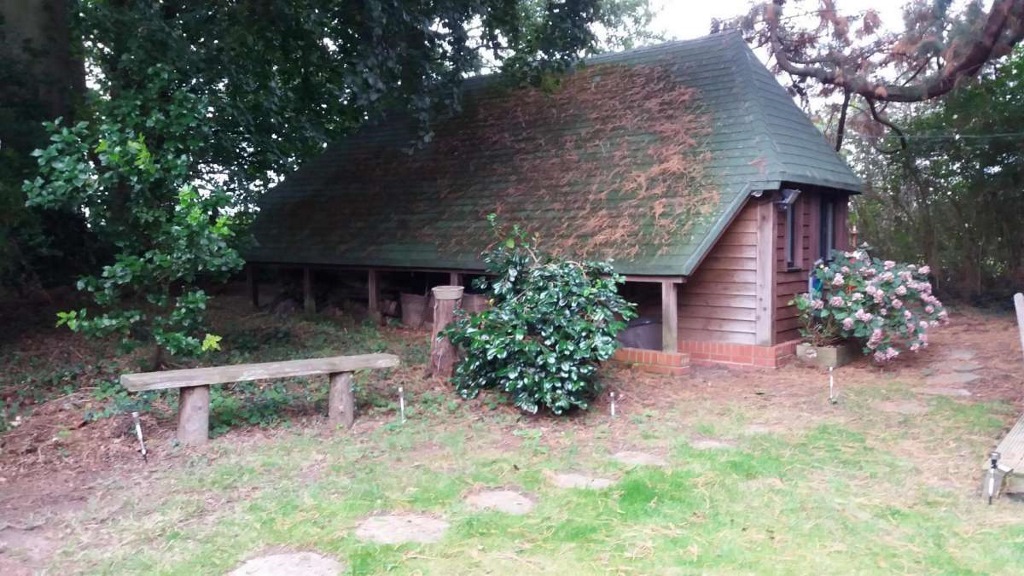 Otters Green Woodland Chalet