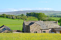 Swallow Barn