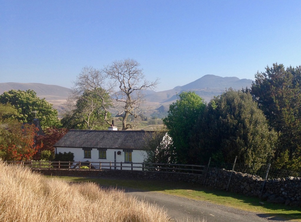 High Ground Cottage