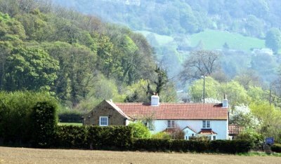 Rose Cottage Farm