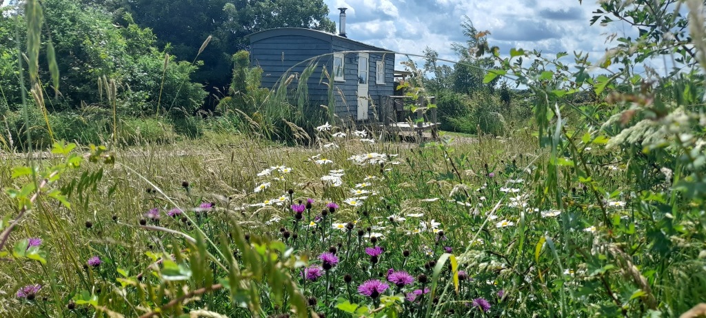 Friends Farm Shepherd Huts Holidays