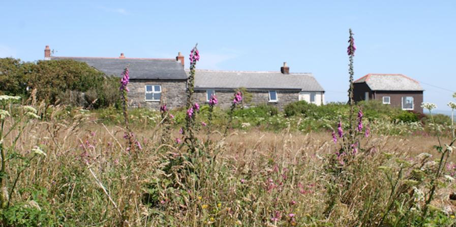 Ding Dong Cottages