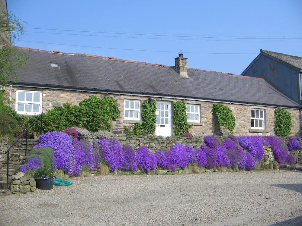 Gibbs Hill Farm Cottages