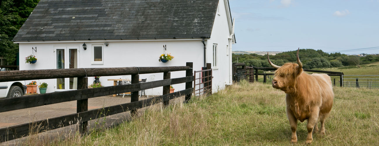 Borthwood Cottages